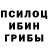 Псилоцибиновые грибы мухоморы Ariet Satimov