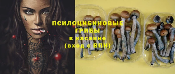 твердый Нефтегорск