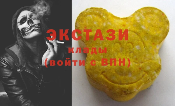 СК Новозыбков