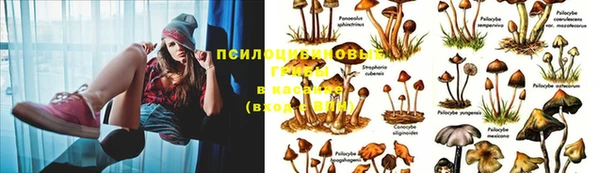 соль курить ск Нефтекумск