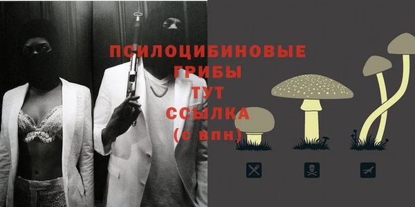 кокс Нея