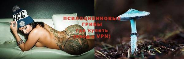 твердый Нефтегорск
