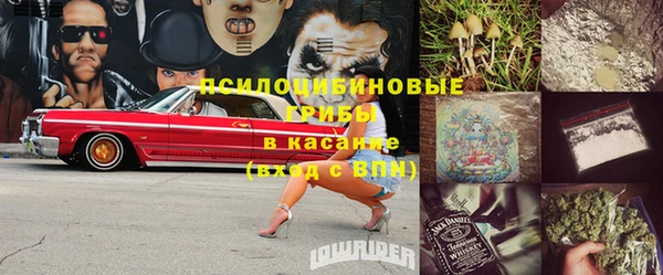 СК Новозыбков