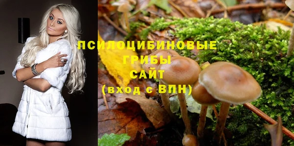 кокс Нея