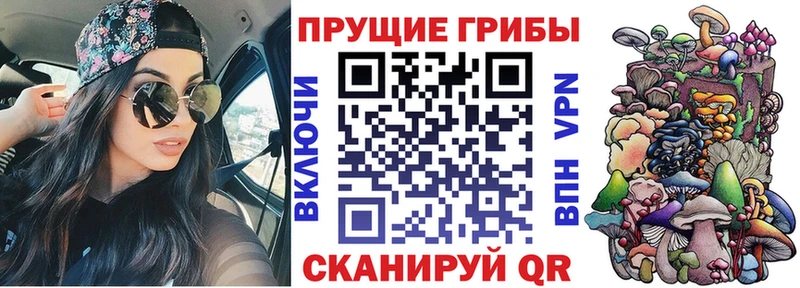 Псилоцибиновые грибы Cubensis  Купить  Нея 
